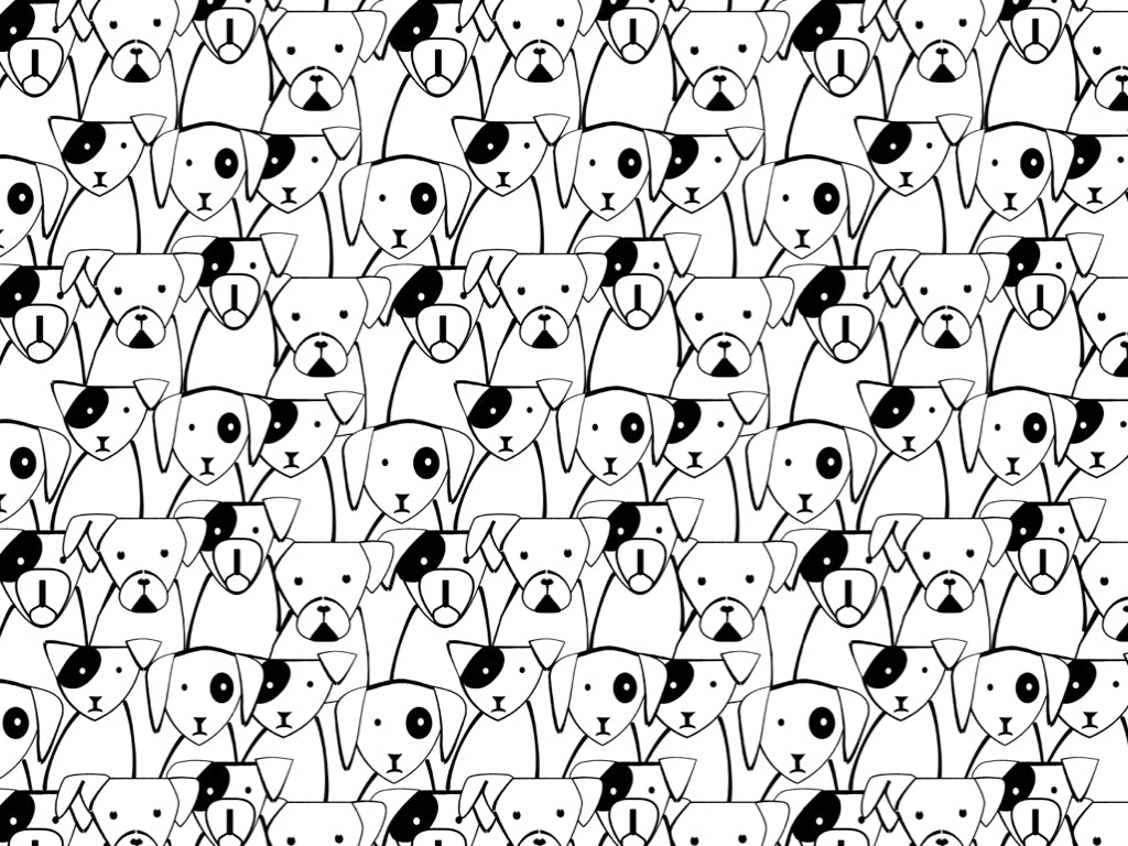 Urban Fido Wallpaper